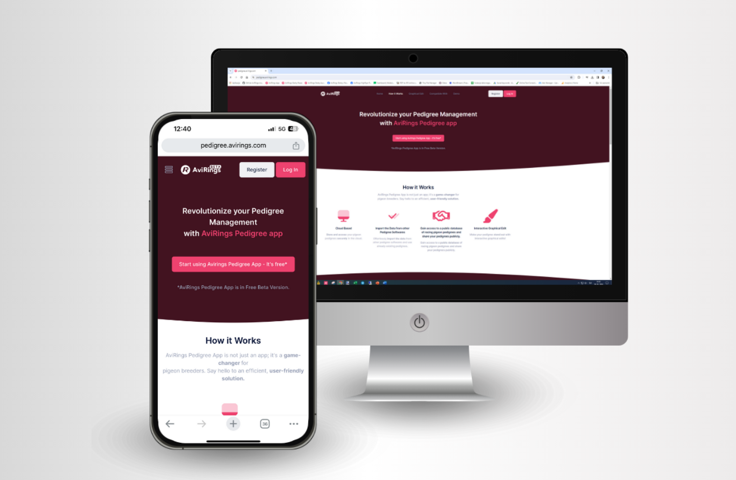 AviRings - modern approach to the pigeon racing sport