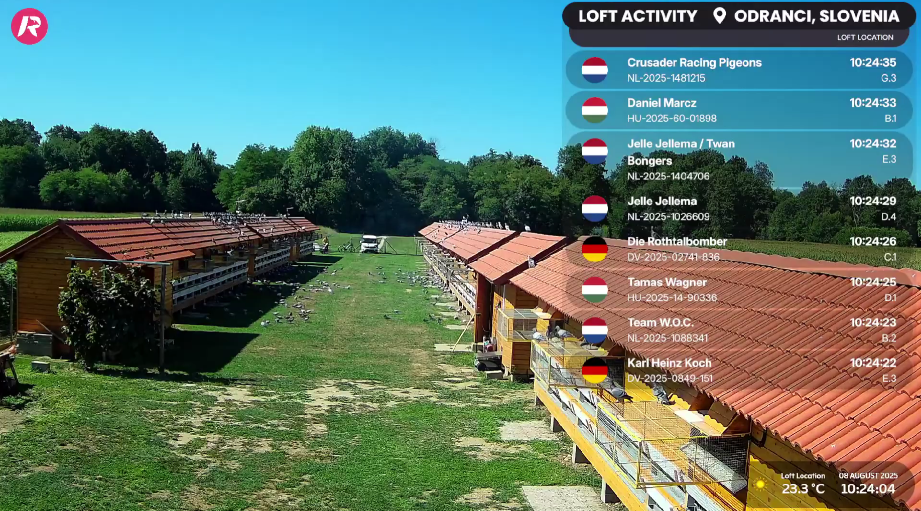 One Loft Race Live Stream Setup I AviRings