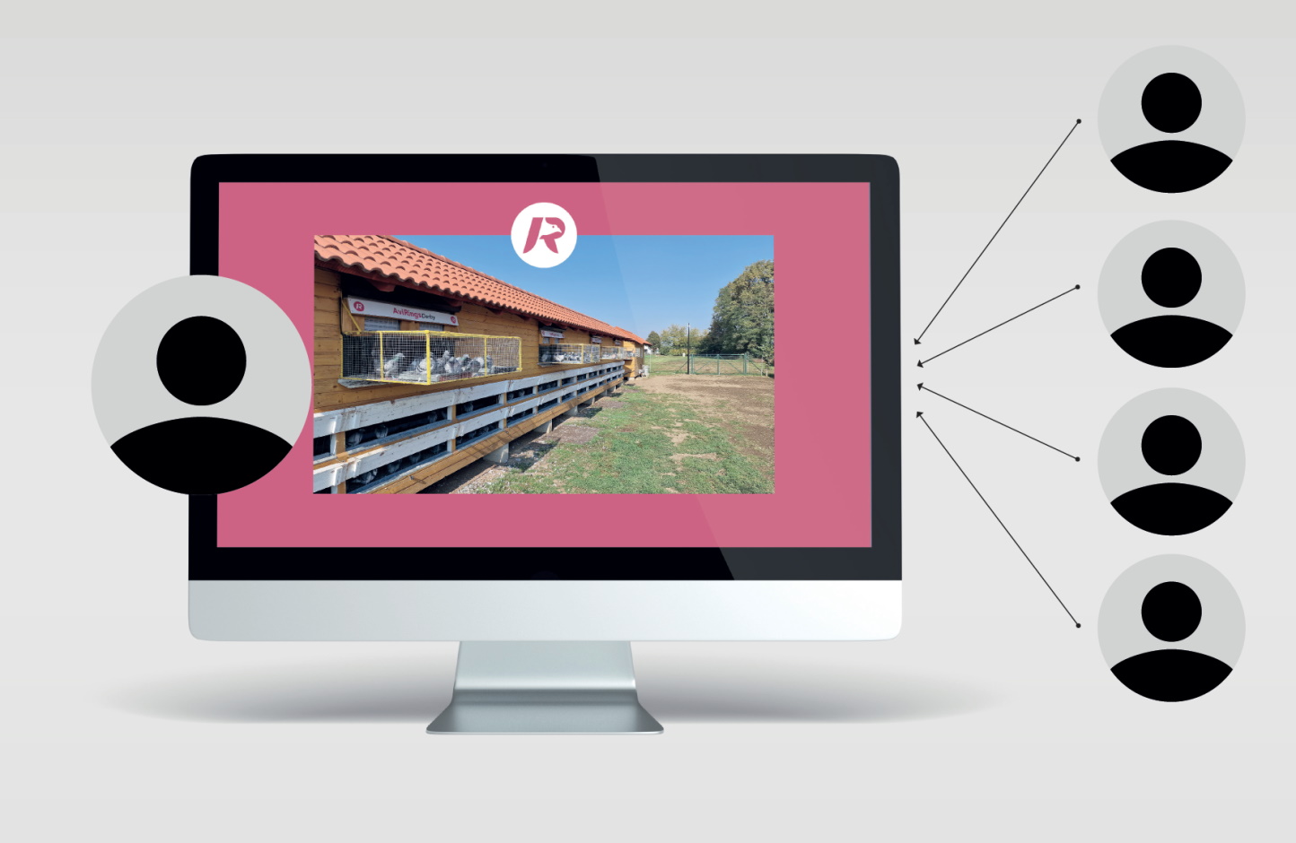 AviRings - modern approach to the pigeon racing sport