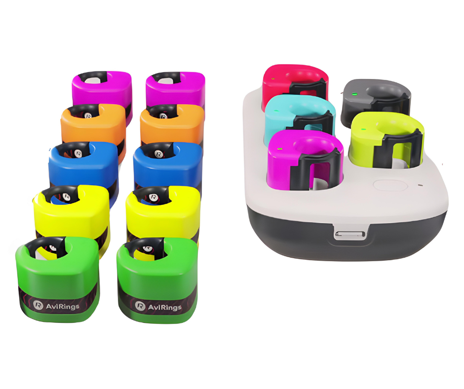 [H02] AviRings Highflyer Rings - Small Set